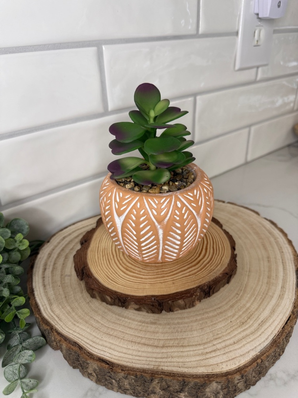 Decorative Terracotta Planter with Green and Purple Succulent